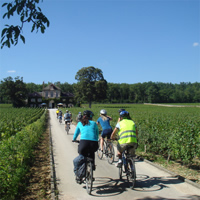 Burgundy Bike Tour with Wine Tasting from Beaune