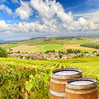 View of Lyon - Dijon - Reims - Paris - Rouen - Chartres: Chauffeured Collection