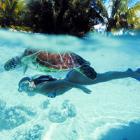 Bora Bora Idyllic Getaway