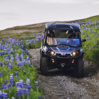 1 hour Buggy adventure - From Reykjavik