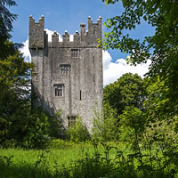 /images/packages1/ireland/limerick-castlematrix_rep-500.jpg