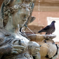 View of Venice - Bologna - Florence by Train