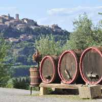 /images/packages1/italy/montepulciano-winebarrels-500.jpg