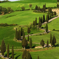 /images/packages1/italy/sangimignano-fields-500.jpg