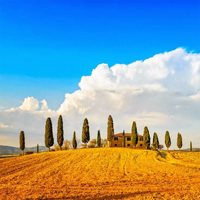 /images/packages1/italy/tuscany-fieldssunnyview-500.jpg