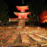 View of Runway to Rail: Tokyo - Kyoto - Sendai and Sapporo