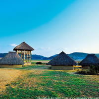 View of Tokyo - Osaka - Oita - Miyazaki - Kagoshima - Kumamoto - Nagasaki with Rail Pass