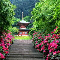 View of Tokyo - Osaka - Ishigaki Island by Air