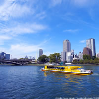 View of Japanese Heritage with Rail Pass (Tokyo - Kyoto - Osaka - Nagasaki - Hiroshima - Miyajima)