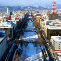 View of Tokyo - Osaka - Sapporo by Air