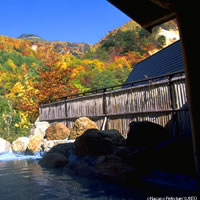 View of Tokyo - Nagano - Matsumoto - Kanazawa - Toyam with Rail Pass