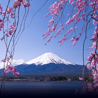View of Runway to Rail: Tokyo - Kyoto and Singapore City