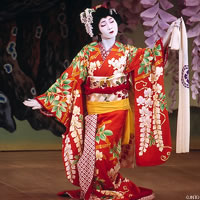 View of Tokyo and Fuji Five Lakes with Rail Pass