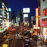 View of Tokyo - Kawasaki - Hakone - Kamakura with Rail Pass
