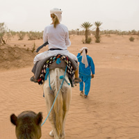 /images/packages1/morocco/morocco-camelrideexperience-500.jpg