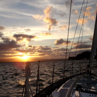 Auckland Harbour Sailboat Cruise Including Three Course Dinner