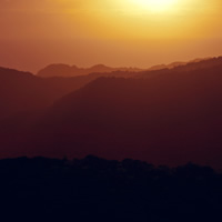 Afternoon Piha Beach and Rainforest Tour from Auckland