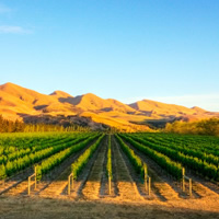 View of Christchurch - Greymouth - Franz Josef - Queenstown (Self Drive)