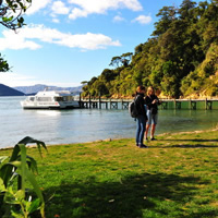 Motuara Island Bird Sanctuary and Ship Cove Cruise from Picton