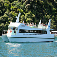 Half-Day Cruise in Marlborough Sounds from Picton
