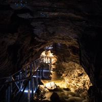 Te Anau Glow Worm Caves Tour