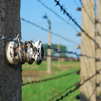 Auschwitz-Birkenau Guided Tour by Private Transport from Krakow