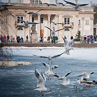/images/packages1/poland/warsaw_lazienkipark-gi0331-500.jpg