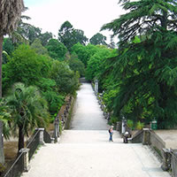 /images/packages1/portugal/coimbra_jardimbotanico-500.jpg