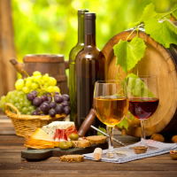 /images/packages1/portugal/porto-winetour-500.jpg