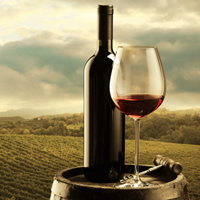 /images/packages1/portugal/portugal-wineandvineyard-500.jpg