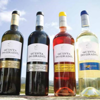 View of Marrakech and Porto for Foodies