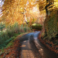 /images/packages1/scotland/ayrshire-clydemuirshielpk-500.jpg