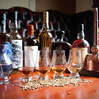 View of London - Edinburgh - Dublin for Foodies