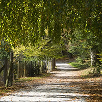 /images/packages1/slovenia/ljubljana_tivolipark-gi6462-500.jpg