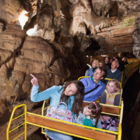 Bled Lake with Postojna Cave &amp; Castle - small group - day trip from Ljubljana