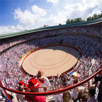 /images/packages1/spain/bullfight500.jpg