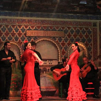 /images/packages1/spain/spain-flamencogirlsperformance-500.jpg