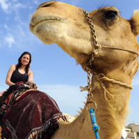 /images/packages1/uae/uae-camelrideexperience-500.jpg