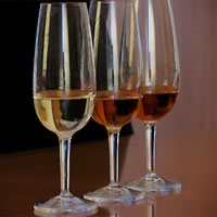 /images/sightseeing/italy/venice_winetasting_500.jpg