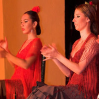 /images/sightseeing/spain/seville-flamencoshow-500.jpg