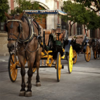 /images/sightseeing/spain/seville-horsecarriage-500.jpg