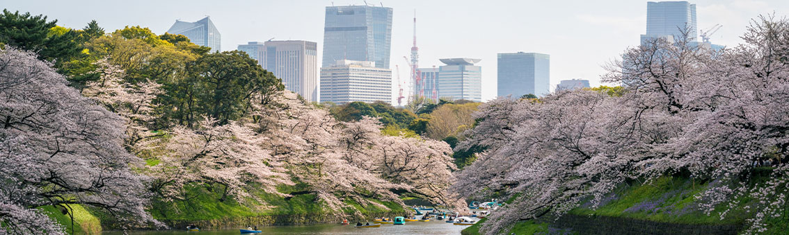 Luxury Tokyo - Kyoto - Osaka Experience