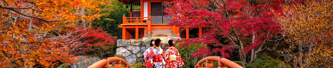Luxury Tokyo and Kyoto Experience